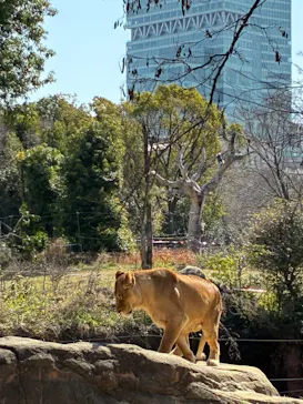 天王寺動物園に投稿された画像（2026/3/1）