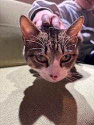 おさるランド＆アニタウン　日光さる軍団劇場に投稿された画像（2026/3/1）