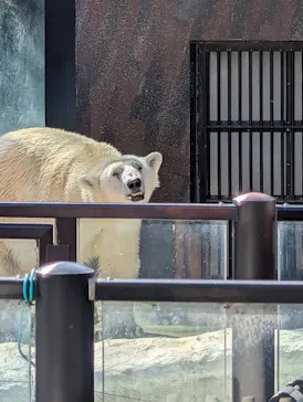 恩賜上野動物園に投稿された画像（2026/3/1）
