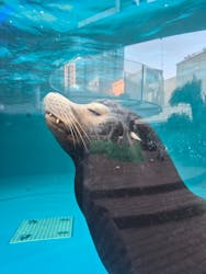 サンシャイン水族館に投稿された画像（2026/3/1）