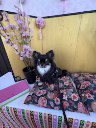 わんダフルネイチャーヴィレッジに投稿された画像（2026/3/1）