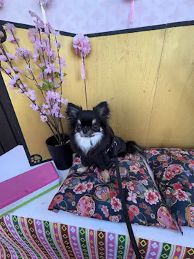 わんダフルネイチャーヴィレッジに投稿された画像（2026/3/1）