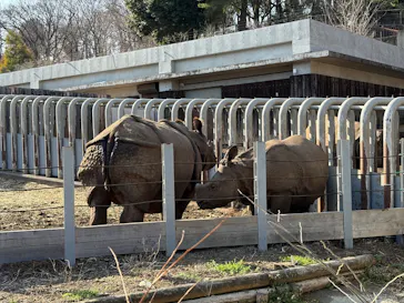 多摩動物公園に投稿された画像（2026/3/1）