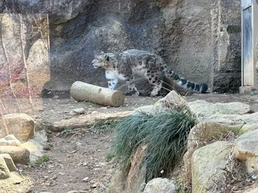 多摩動物公園に投稿された画像（2026/3/1）