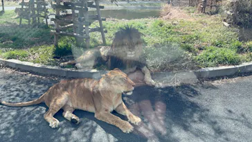 多摩動物公園に投稿された画像（2026/3/1）