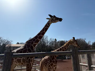 多摩動物公園に投稿された画像（2026/3/1）