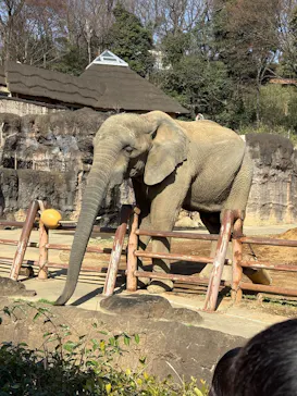多摩動物公園に投稿された画像（2026/3/1）