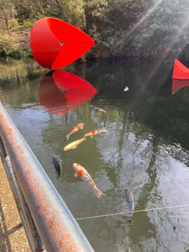 彫刻の森美術館に投稿された画像（2026/3/1）