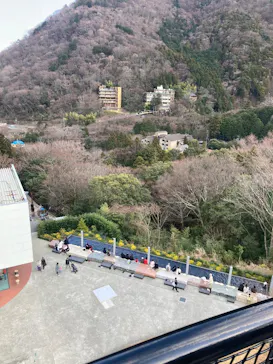 彫刻の森美術館に投稿された画像（2026/3/1）