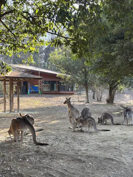 こども動物自然公園（埼玉県公園緑地協会）に投稿された画像（2026/3/1）