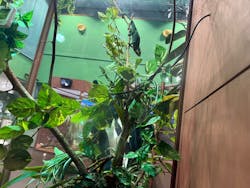 シン・マリホ水族館に投稿された画像（2026/3/1）