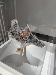 UESHIMA MUSEUMに投稿された画像（2026/3/1）