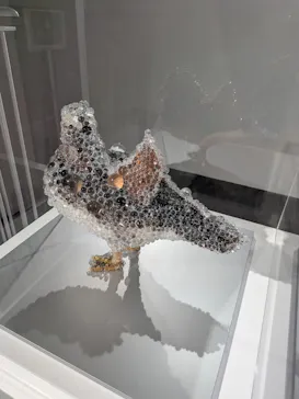 UESHIMA MUSEUMに投稿された画像（2026/3/1）