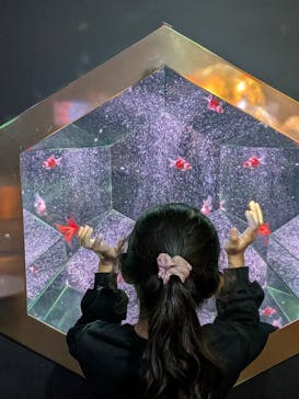 沖縄金魚ミュージアムに投稿された画像（2026/3/1）