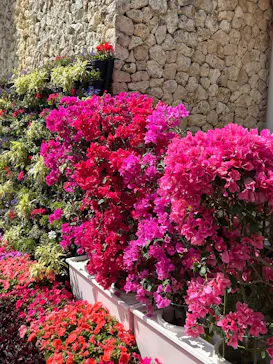 沖縄美ら海水族館に投稿された画像（2026/3/1）