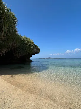 沖縄美ら海水族館に投稿された画像（2026/3/1）
