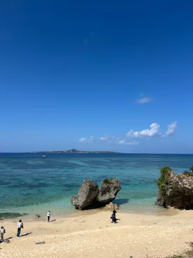 沖縄美ら海水族館に投稿された画像（2026/3/1）