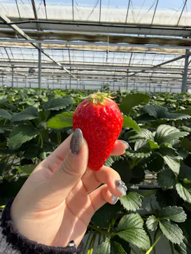 お陽様農園に投稿された画像（2026/3/1）