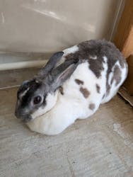 成田ゆめ牧場に投稿された画像（2026/3/1）