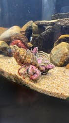 九十九島水族館海きららに投稿された画像（2026/3/1）