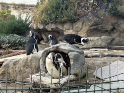 サンシャイン水族館に投稿された画像（2026/3/1）
