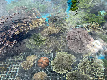 沖縄美ら海水族館（館内体験）に投稿された画像（2026/3/1）