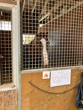 ノーザンホースパークに投稿された画像（2026/3/1）