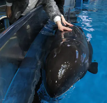 マクセル アクアパーク品川に投稿された画像（2026/3/1）