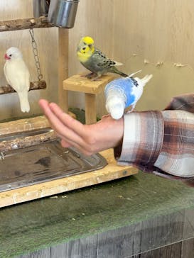 Moff animal world BIGHOPガーデンモール印西店に投稿された画像（2026/3/1）