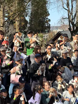 わんダフルネイチャーヴィレッジに投稿された画像（2026/3/1）