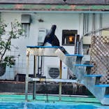 あわしまマリンパークに投稿された画像（2026/3/1）