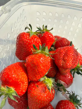 いちごICHIJYU FRUIT FARMに投稿された画像（2026/3/1）