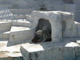 天王寺動物園に投稿された画像（2026/3/1）