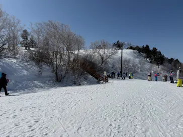 安比高原スキー場に投稿された画像（2026/3/1）