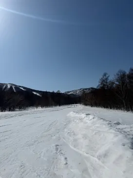 安比高原スキー場に投稿された画像（2026/3/1）