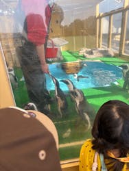 名古屋港水族館に投稿された画像（2026/3/1）