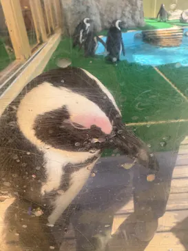 名古屋港水族館に投稿された画像（2026/3/1）