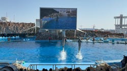 名古屋港水族館に投稿された画像（2026/3/1）