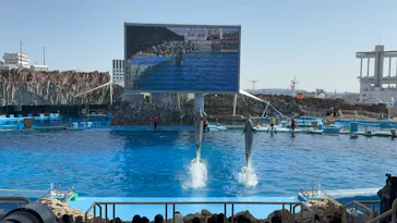 名古屋港水族館に投稿された画像（2026/3/1）