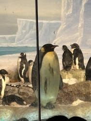 名古屋港水族館に投稿された画像（2026/3/1）