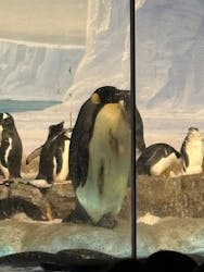 名古屋港水族館に投稿された画像（2026/3/1）