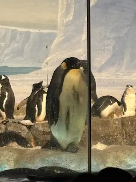 名古屋港水族館に投稿された画像（2026/3/1）