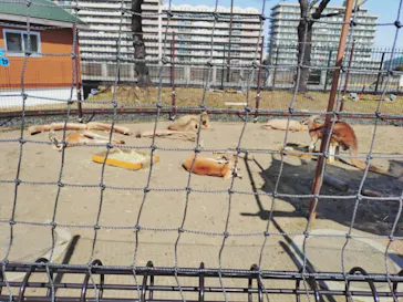 あらかわ遊園に投稿された画像（2026/3/1）