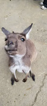 伊豆シャボテン動物公園に投稿された画像（2026/3/1）