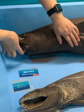 横浜・八景島シーパラダイスに投稿された画像（2026/3/1）