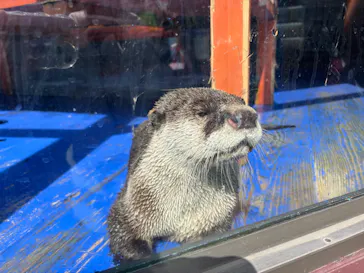 ゼロ距離水族館 伊勢シーパラダイスに投稿された画像（2026/3/1）
