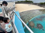沖縄美ら海水族館に投稿された画像（2026/3/1）