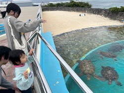 沖縄美ら海水族館に投稿された画像（2026/3/1）