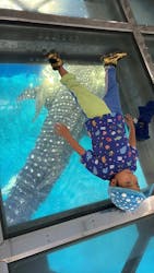 沖縄美ら海水族館に投稿された画像（2026/3/1）