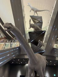 福井県立恐竜博物館に投稿された画像（2026/3/1）